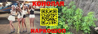 индика Можайск