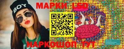 дмт Моздок