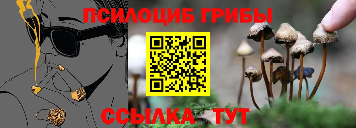 Псилоцибиновые грибы ЛСД  Вход с VPN  Дербент  Псилоцибиновые грибы Psilocybine cubensis 